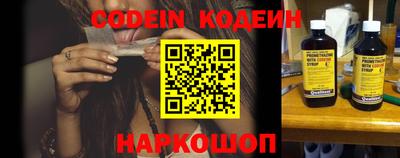 индика Кингисепп