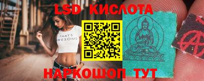 индика Кингисепп