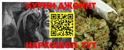 индика Кингисепп
