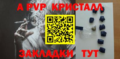 индика Кингисепп