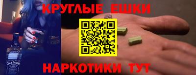 индика Кингисепп