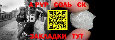 индика Кингисепп