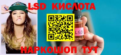 индика Кингисепп